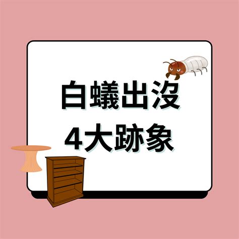 家中出現白蟻|消滅白蟻攻略｜白蟻入屋數月可吃光家具 拆解4個入屋 